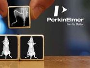 Take High-Throughput Optical / X-ray Imaging To The Next Level