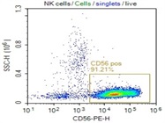 Fantastic Antibody For NK Cells