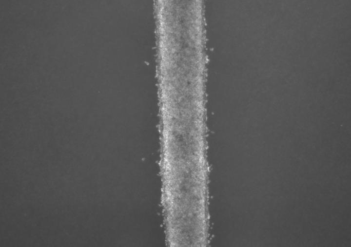 fluidic device