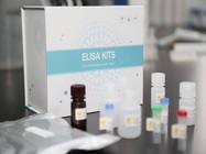 Streptavidin-HRP Targeted ELISA Kits