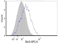 Antibody to Detect Bcl-6