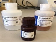 Reliable Way To Fix Cells For Transcription Factor Staining