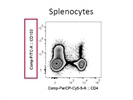 Anti-Mouse CD103 (FITC) Antibody