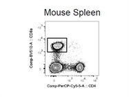 Anti-Mouse CD8a (BV510) Antibody
