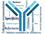 Survey Sheds Light on Antibody Usage, Applications, and Preferences