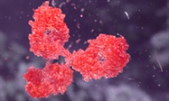 Protect your proteins with Roche