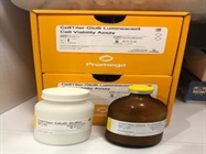 CellTiter-Glo Luminescent Cell Viability Assay