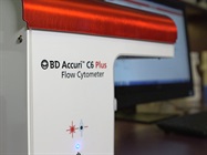 Watch Video: NK Cell Cytotoxicity Assay Using a BD Accuri C6 Plus