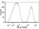 Bright and Clean TCR beta Antibody