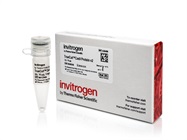 Invitrogen™ TrueCut™ Cas9 Protein v2