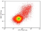 Excellent Antibody For Human CD25 Staining