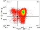 Excellent Antibody For Human CD4 Staining