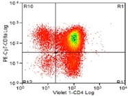 Excellent Antibody For Human CD4 Staining