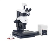 Leica M165 FC Fluorescence Dissecting Stereomicroscope