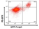 Excellent Flow Cytometry Antibody For Mouse GITR