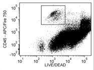 APC/Fire Anti-Mouse CD45 For Flow Cytometry