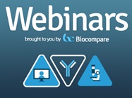 Webinar: Three Steps to Glycan Success