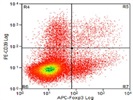 Excellent Antibody For Human CD39 Staining