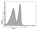 Anti-Mouse NK-1.1 Antibody