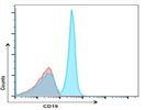 Anti-Mouse CD19 Antibody