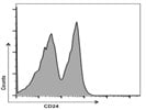 APC Anti-Mouse CD24 Antibody