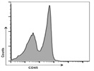 Anti-Mouse CD45 Antibody