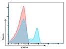 Anti-Mouse CD34 Antibody