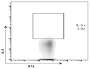 PE Anti-Mouse/Human IL-5 Antibody