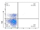 T Cell Receptor gamma 3 Antibody