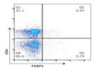Anti-Mouse FOXP3 Antibody