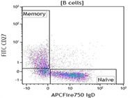 FITC Anti-Human CD27 Antibody