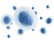 State-of-the-Art Single-Cell Analysis