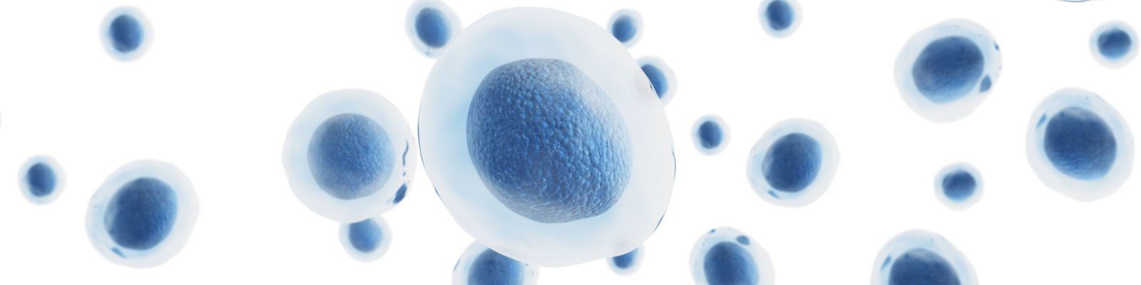  State-of-the-Art Single-Cell Analysis