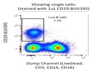 Anti-Human CD19-BUV395 Is Great Option For Multi-Parameter Panels
