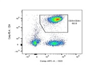 Excellent CD4 Staining On Human PBMCs