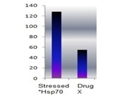 ELISA Kit for HSp70