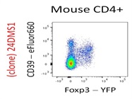 Anti-Mouse CD39 (EFluor660) Antibody