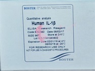 User Friendly And Economical ELISA Kit
