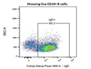 IgD-AF488 Works Great On Human PBMC