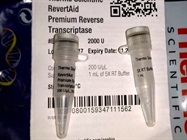 A Recombinant Reverse Transcriptase for Labeling cDNA