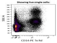 CD14-PETR Works Great On Human PBMC