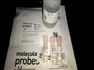 A Reliable Kit For The Quantification Of dsDNA
