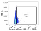 Anti-CD34 Antibody In Bone Marrow