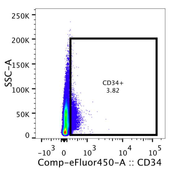 AntiCD34 Antibody In Bone Marrow Antibody Review