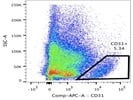 Anti-Mouse CD31 Antibody
