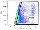 Anti-Mouse EpCAM Antibody