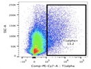 Anti-Mouse Podoplanin Antibody