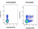 Surprisingly Easy To Use Biotinylated Polyclonal Against Amphiregulin
