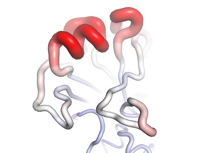 Influenza Epitopes
