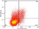 Excellent Antibody For Human OX40 Staining